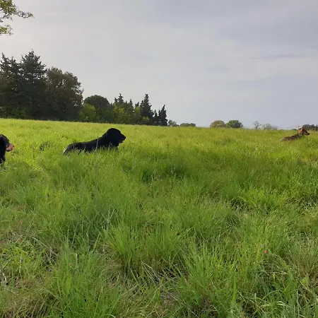 D'hôtes Dans Propriété Rurale