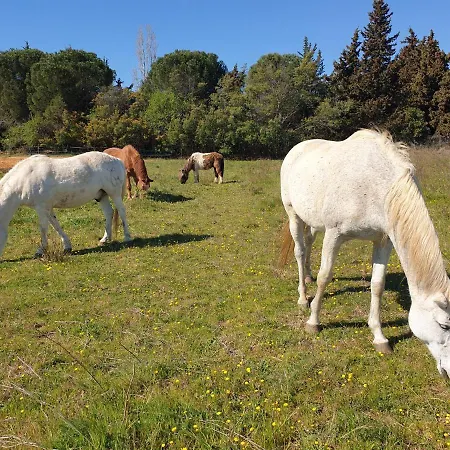 D'hotes Dans Propriete Rurale Bed & Breakfast *